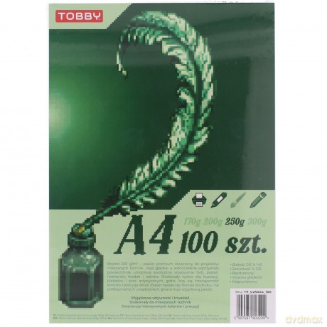Papier Brystol A4 100 ark.250g