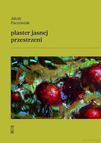 Plaster jasnej przestrzeni - Jakub Pacześniak [KSIĄŻKA]