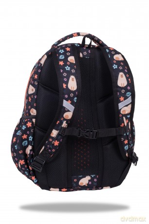 Plecak młodzieżowy Coolpack Base Plus Capybara
