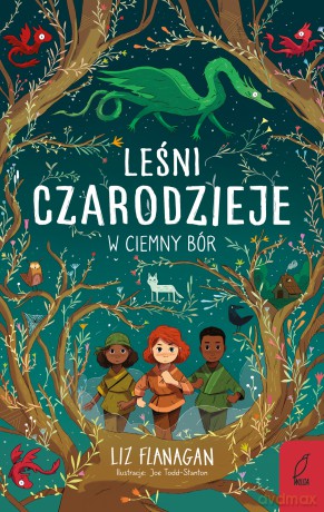 W ciemny bór. Leśni czarodzieje (Tom 1) - Liz Flanagan [KSIĄŻKA]