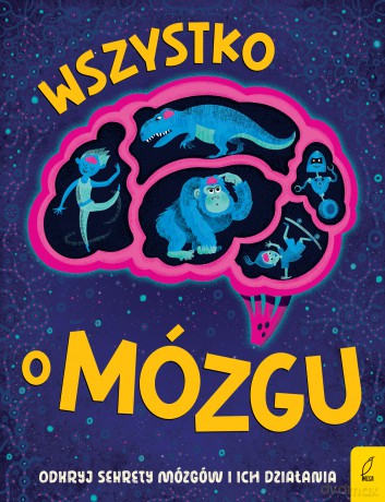 Wszystko o MÓZGU - Tim Kennington [KSIĄŻKA]