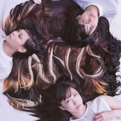 Tricot: A N D [Winyl]
