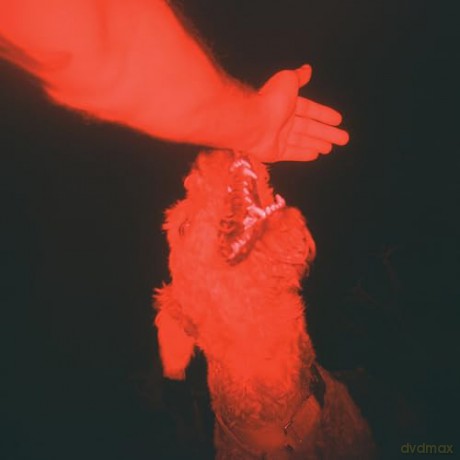 Eli Winter: A Trick Of The Light (Optical Illusion Transparent Red) [Winyl]