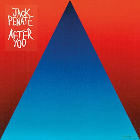 Jack Penate: After You [Winyl]