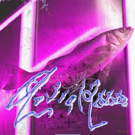 Virginie B: Astral 2000 (Clear) [Winyl]