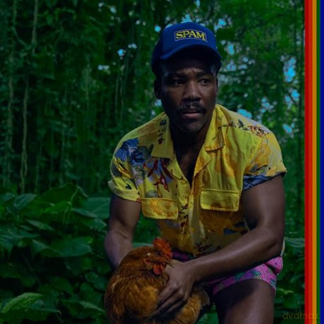 Childish Gambino: Bando Stone And The New World [2xWinyl]