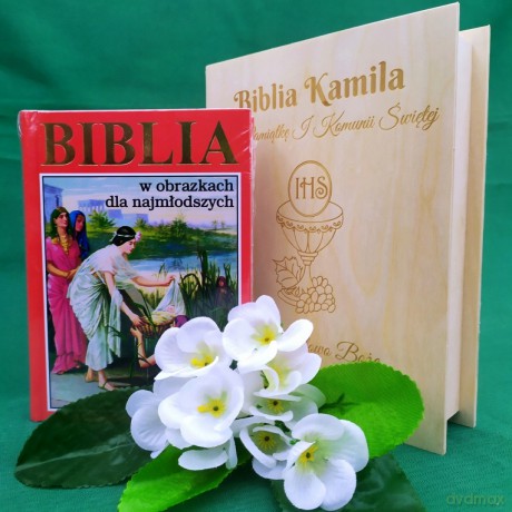 Biblia w obrazkach dla najmłodszych [KSIĄŻKA]