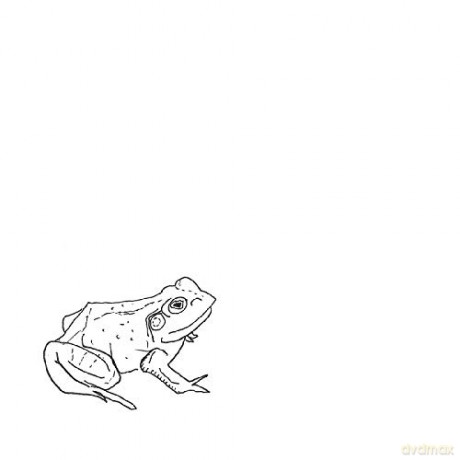Aoife Odonovan: Bull Frogs Croon (And Other Songs) [Winyl]