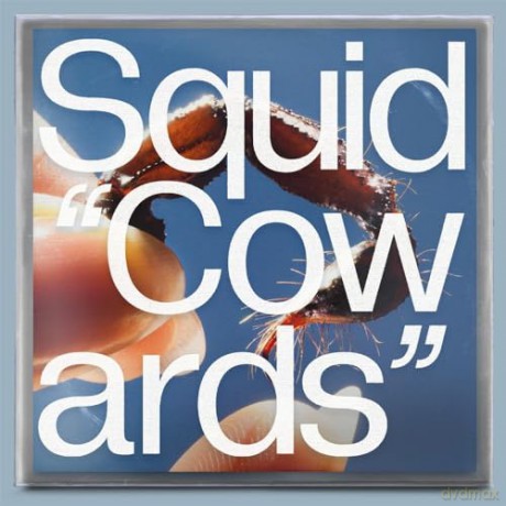 Squid: Cowards [Winyl]