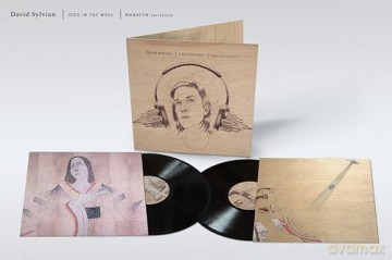 David Sylvian: Died In The Wool (Manafon Variations) [2xWinyl]