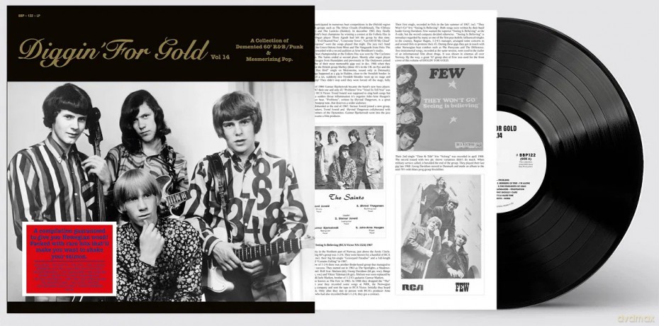 Diggin For Gold Vol. 14 [Winyl]