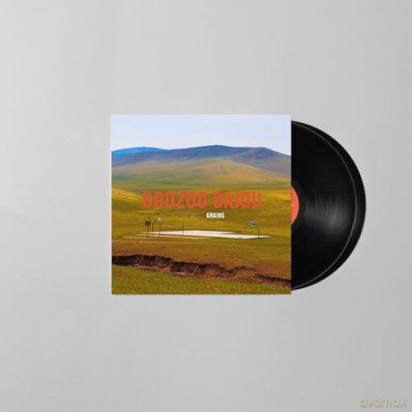 Boozoo Bajou: Grains (15th Anniversary) [2xWinyl]
