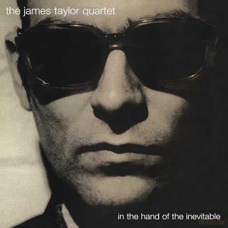 James Taylor Quartet: In The Hand Of The Inevitable (30th Anniversary) [Winyl]