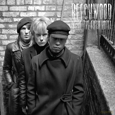 Beechwood: Inside The Flesh Hotel (Splatter) [Winyl]