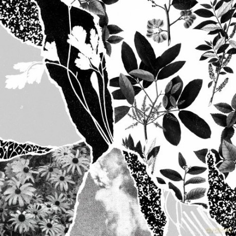 Ponctuation: Mon Herbier Du Monde Entier [CD]