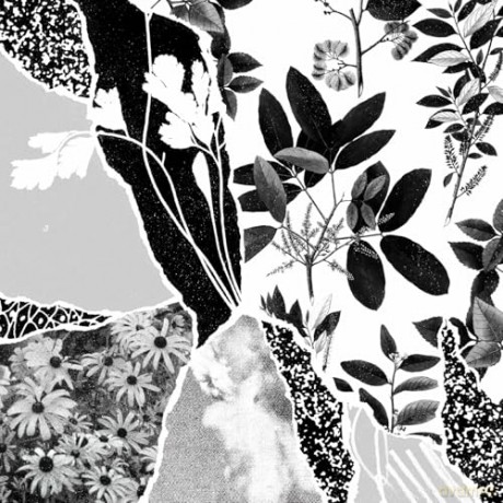 Ponctuation: Mon Herbier Du Monde Entier [Winyl]