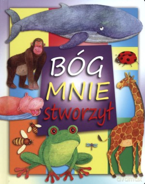 Bóg mnie stworzył - Bethan James [KSIĄŻKA]