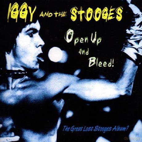 Iggy And Stooges: Open Upandbleed [CD]