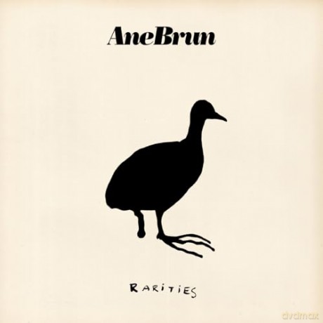 Ane Brun: Rarities [Winyl]