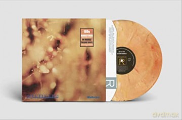 Steamhammer: Reflection (Marble) [Winyl]
