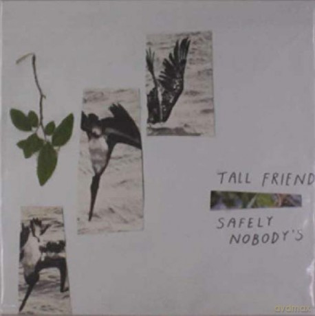 Tall Friend: Safely NobodyS [Winyl]