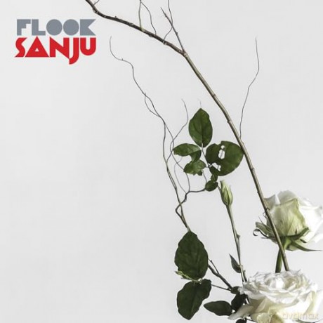Flook: Sanju [Winyl]