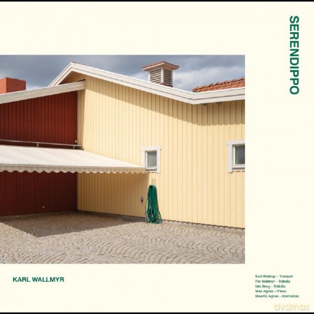 Karl Wallmyr: Serendippo [Winyl]