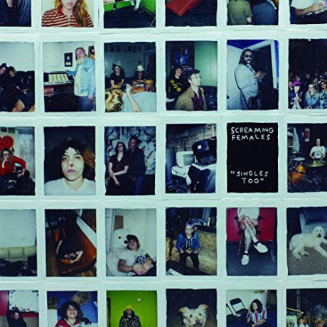Screaming Females: Singles Too [Winyl]