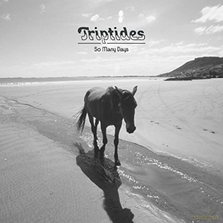 Triptides: So Many Days [CD]