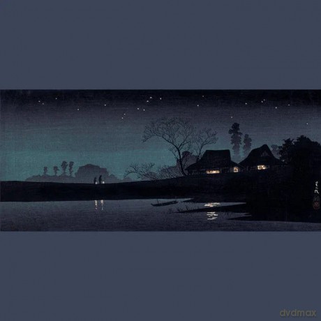 Kinski: Stumbledown Terrace [Winyl]