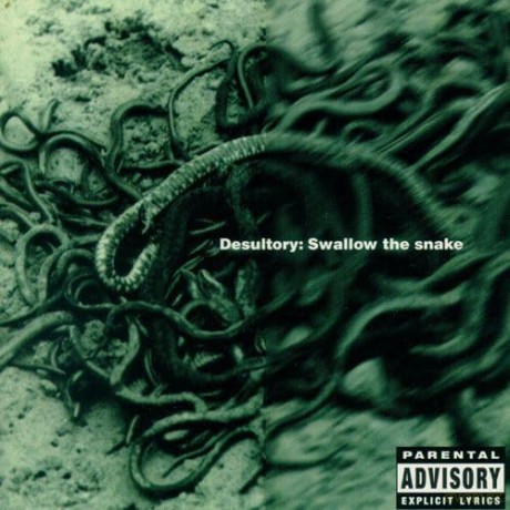 Desultory: Swallow The Snake [Winyl]
