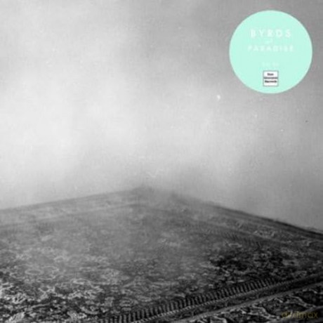 Byrds Of Paradise: Teenage Symphonies [Winyl]