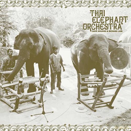 Thai Elephant Orchestra: Thai Elephant Orchestra [Winyl]