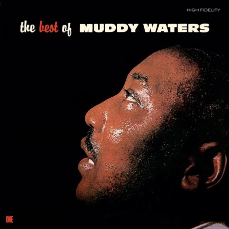 Muddy Waters: The Best Of Muddy Waters (+4 Bonus Tracks) (Limited) [Winyl]