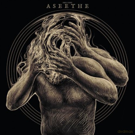 Aseethe: The Cost [Winyl]