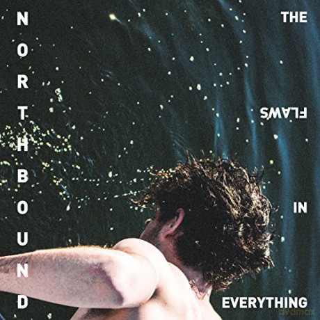 Northbound: The Flaws In Everything [Winyl]