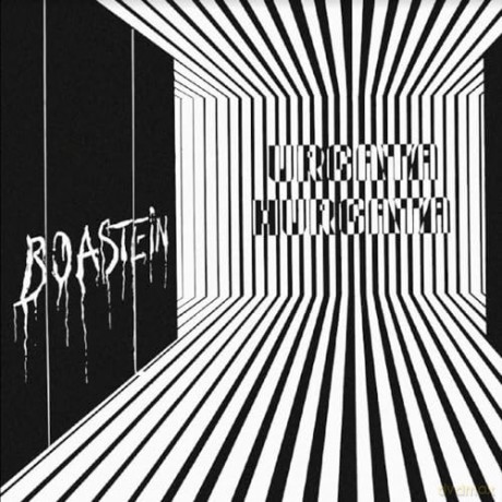 Boastein: Urgata Hurgata [Winyl]