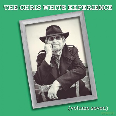 Chris White Experience: Volume Seven [CD]