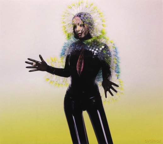 Bjork: Vulnicura [CD]