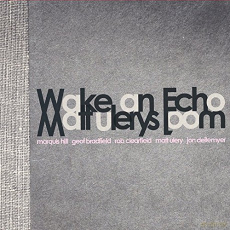 Matt Loom Ulery: Wake An Echo [CD]