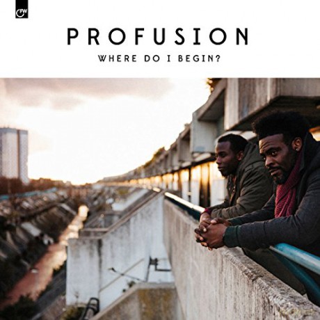 Profusion: Where Do I Begin [Winyl]