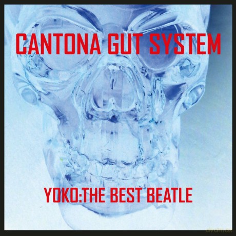Cantona Gut System: Yoko: The Best Beatle [Winyl]