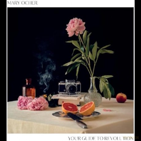 Mary Ocher: Your Guide To Revolution [Winyl]