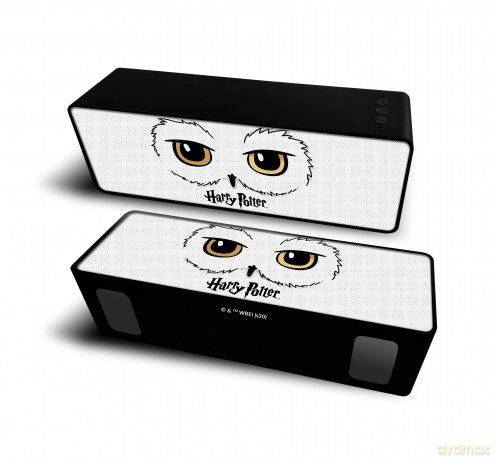 Przenośny głośnik bezprzewodowy 10W 2.1 Harry Potter 028 Harry Potter Biały