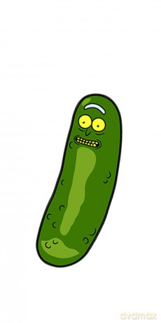 Magnes Rick i Morty 040 Rick and Morty Zielony