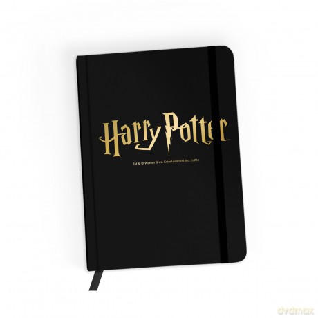 Notes w kratkę Harry Potter 044 Harry Potter Złoty