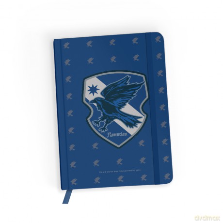Notes w kratkę Harry Potter 004 Harry Potter Niebieski
