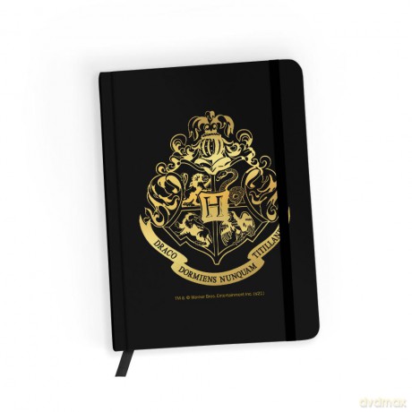 Notes w kratkę Harry Potter 021 Harry Potter Złoty