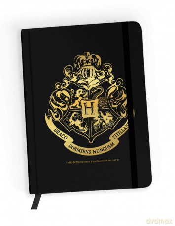 Notes w kratkę Harry Potter 021 Harry Potter Złoty
