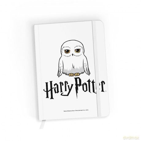Notes w kratkę Harry Potter 070 Harry Potter Biały